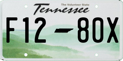 TN license plate F1280X