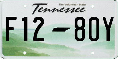 TN license plate F1280Y