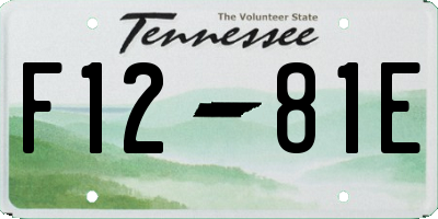 TN license plate F1281E