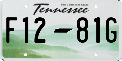 TN license plate F1281G