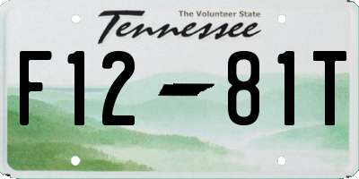 TN license plate F1281T