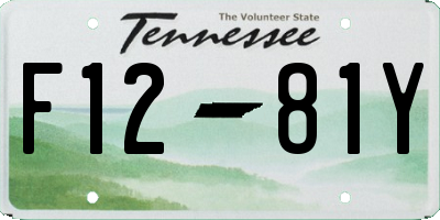 TN license plate F1281Y
