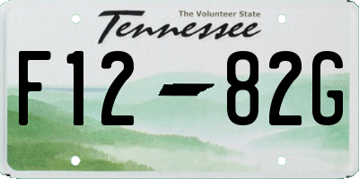 TN license plate F1282G