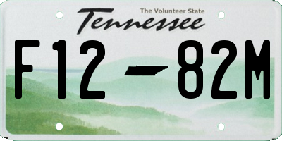 TN license plate F1282M