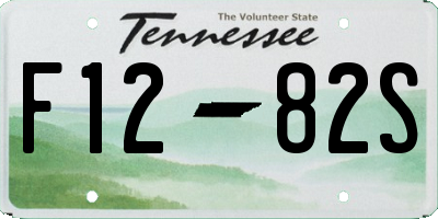 TN license plate F1282S