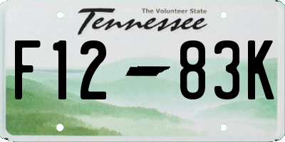 TN license plate F1283K