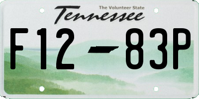 TN license plate F1283P