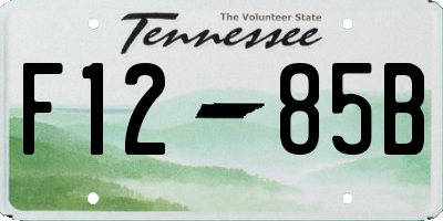 TN license plate F1285B