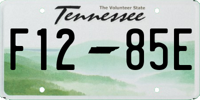 TN license plate F1285E