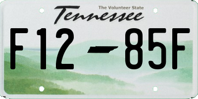 TN license plate F1285F