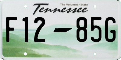 TN license plate F1285G