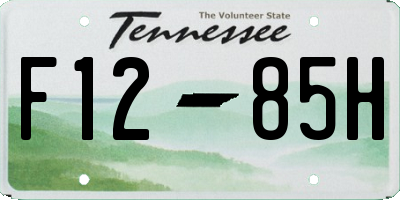 TN license plate F1285H