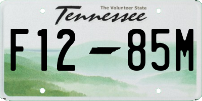 TN license plate F1285M