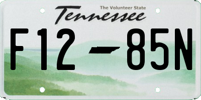 TN license plate F1285N