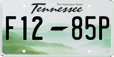 TN license plate F1285P