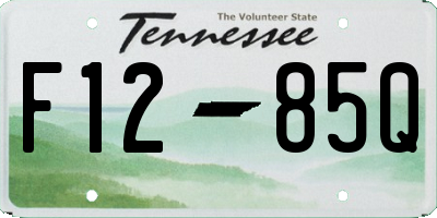 TN license plate F1285Q