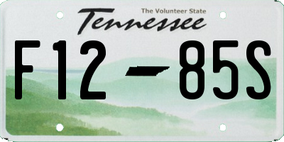 TN license plate F1285S