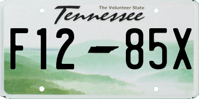 TN license plate F1285X