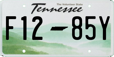TN license plate F1285Y