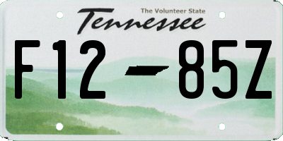 TN license plate F1285Z