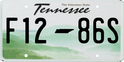 TN license plate F1286S