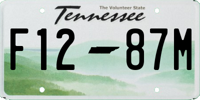 TN license plate F1287M