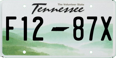 TN license plate F1287X