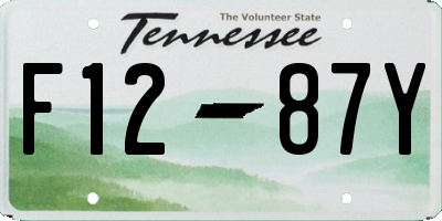 TN license plate F1287Y