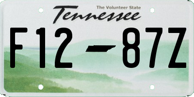 TN license plate F1287Z