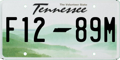 TN license plate F1289M