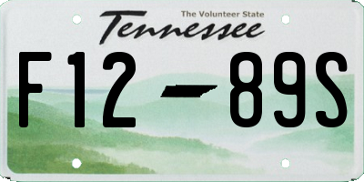 TN license plate F1289S