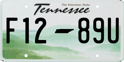 TN license plate F1289U
