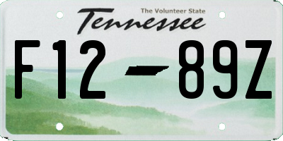 TN license plate F1289Z