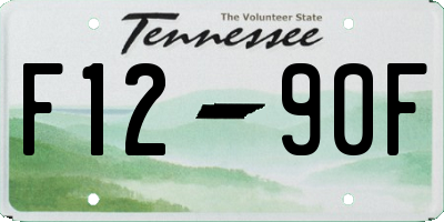 TN license plate F1290F