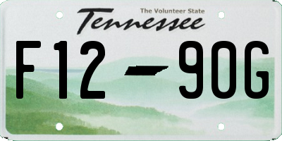 TN license plate F1290G