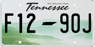 TN license plate F1290J