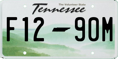 TN license plate F1290M