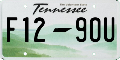 TN license plate F1290U