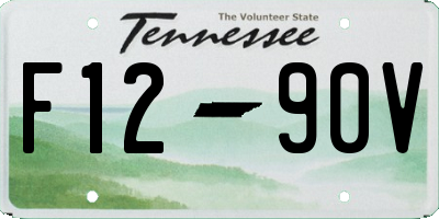 TN license plate F1290V
