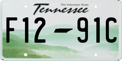 TN license plate F1291C