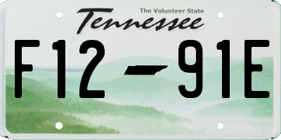 TN license plate F1291E