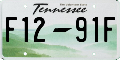 TN license plate F1291F