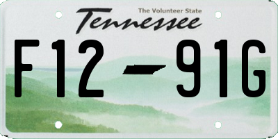 TN license plate F1291G
