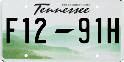 TN license plate F1291H
