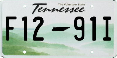 TN license plate F1291I