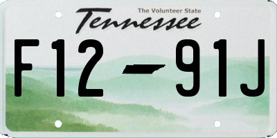TN license plate F1291J