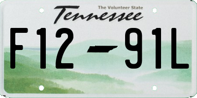TN license plate F1291L