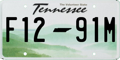 TN license plate F1291M