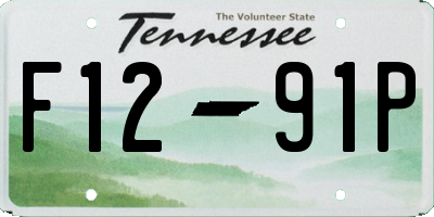 TN license plate F1291P