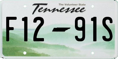 TN license plate F1291S